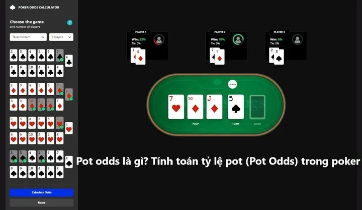 Pot odds là gì? Thông tin người chơi nên biết