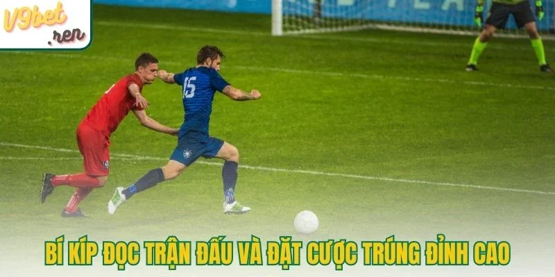 Bí kíp đọc trận đấu và đặt cược trúng đỉnh cao