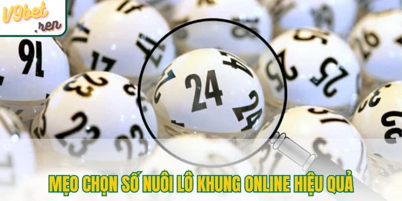 Mẹo chọn số nuôi lô khung online hiệu quả