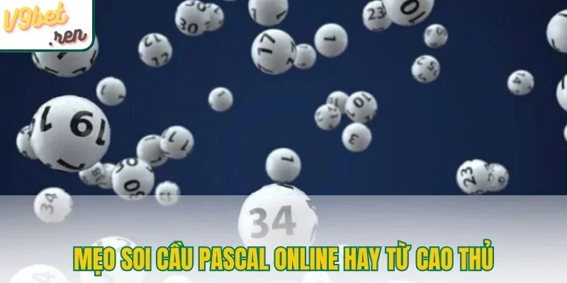 Mẹo soi cầu Pascal online hay từ cao thủ