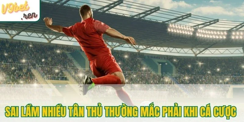 Sai lầm nhiều tân thủ thường mắc phải khi cá cược