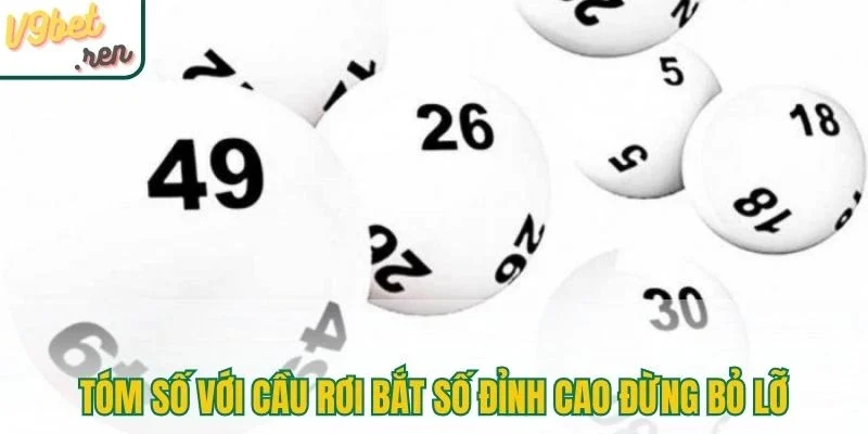 Tóm số với cầu rơi bắt số đỉnh cao đừng bỏ lỡ